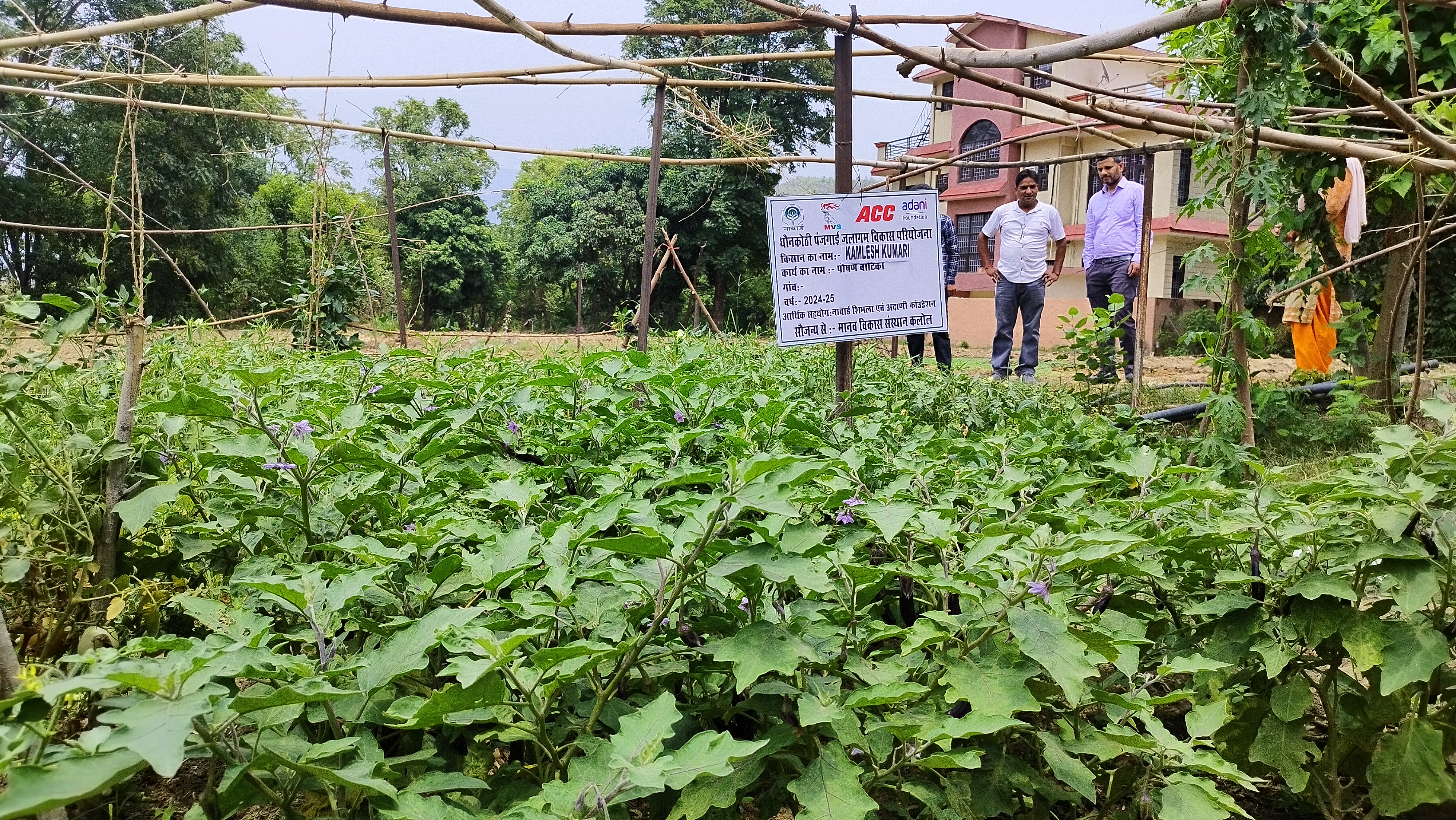 Watershed Stewardship