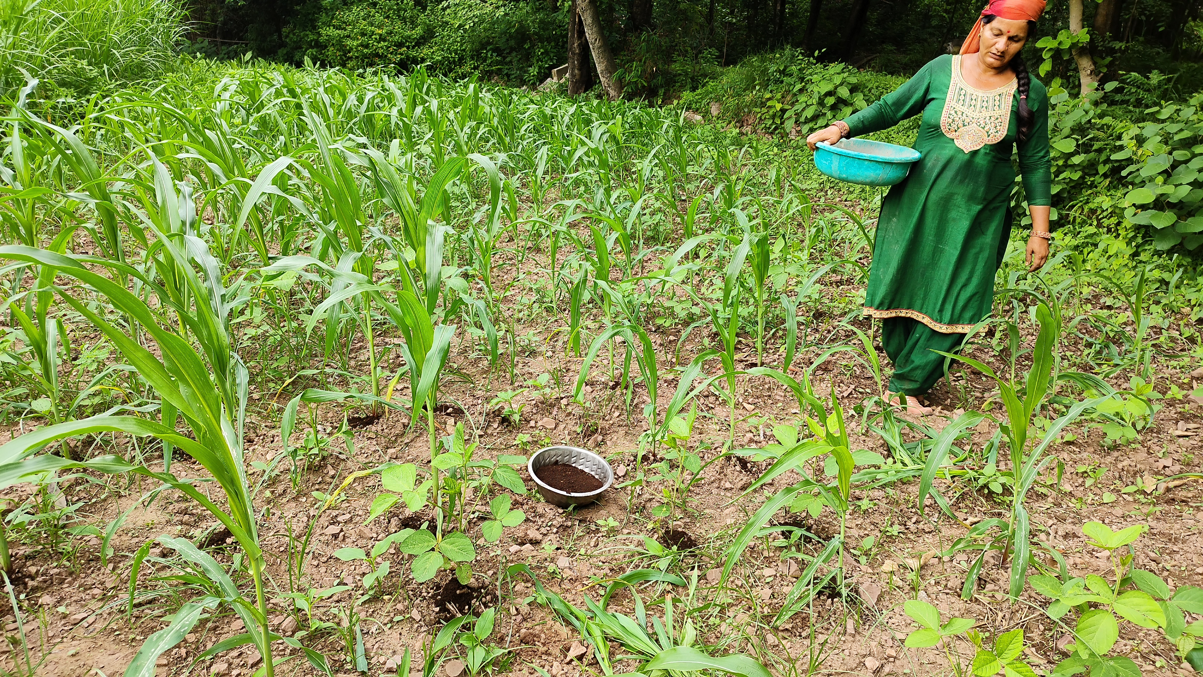 Watershed Stewardship