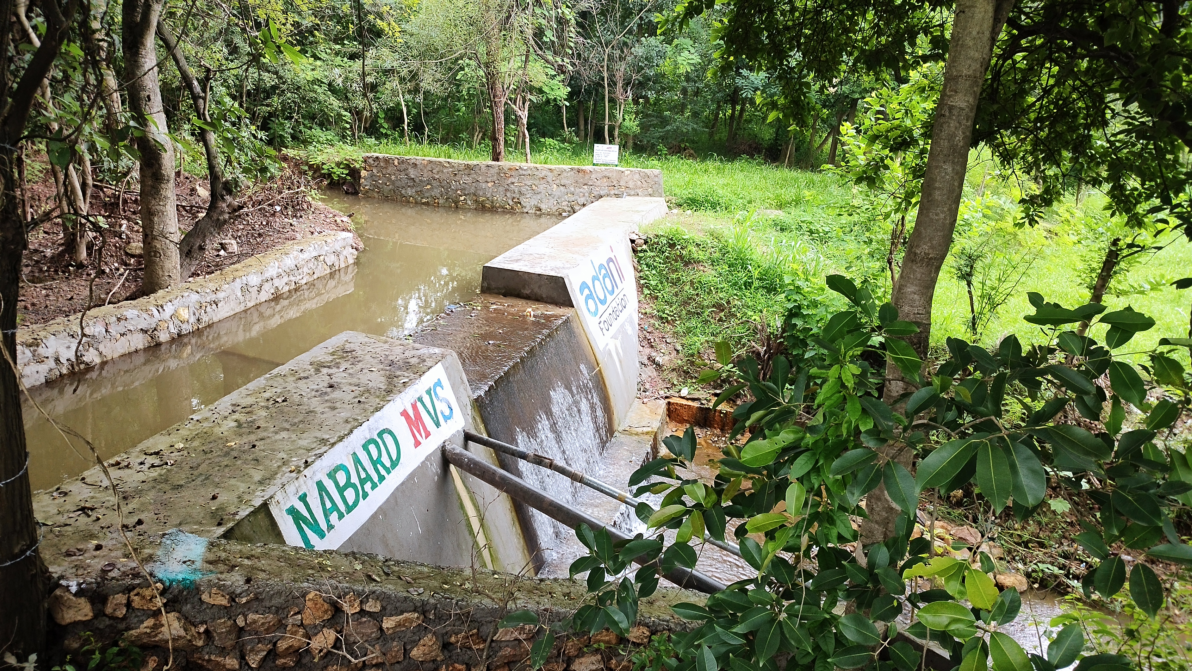 Watershed Stewardship